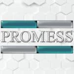 PROMESS